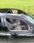 Chrysler Vision Vision V6 3.5 Automatik Schwarz - thumbnail 12