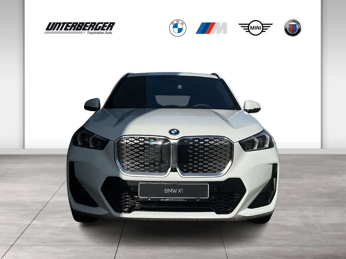 BMW iX1 xDrive30 M Sportpaket Head-Up HK HiFi DAB Weiß - 2