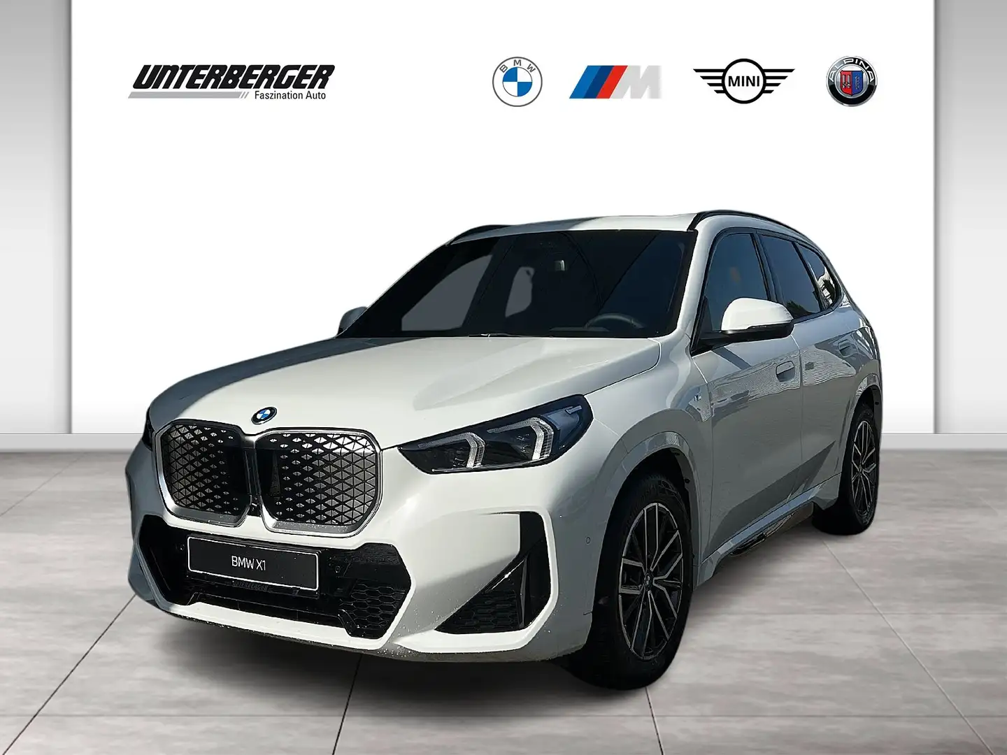 BMW iX1 xDrive30 M Sportpaket Head-Up HK HiFi DAB Weiß - 1