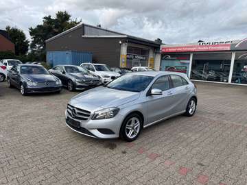 BlueEfficiency Sitzheizung 8-fach bereift
