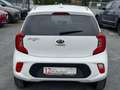 Kia Picanto Dream Team Weiß - thumbnail 7