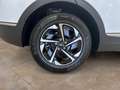 Kia Sportage 1.6 T-GDI MHEV 150 DRIVE GPS LL17 RADAR AV AR+CAM Blanco - thumbnail 12