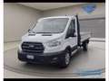 Ford Transit 350 2.0 EcoBlue Trend - Cassonato - MHEV Alb - thumbnail 1