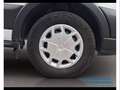 Ford Transit 350 2.0 EcoBlue Trend - Cassonato - MHEV Alb - thumbnail 15