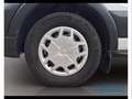 Ford Transit 350 2.0 EcoBlue Trend - Cassonato - MHEV Alb - thumbnail 14