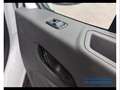 Ford Transit 350 2.0 EcoBlue Trend - Cassonato - MHEV Alb - thumbnail 12