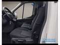 Ford Transit 350 2.0 EcoBlue Trend - Cassonato - MHEV Alb - thumbnail 9