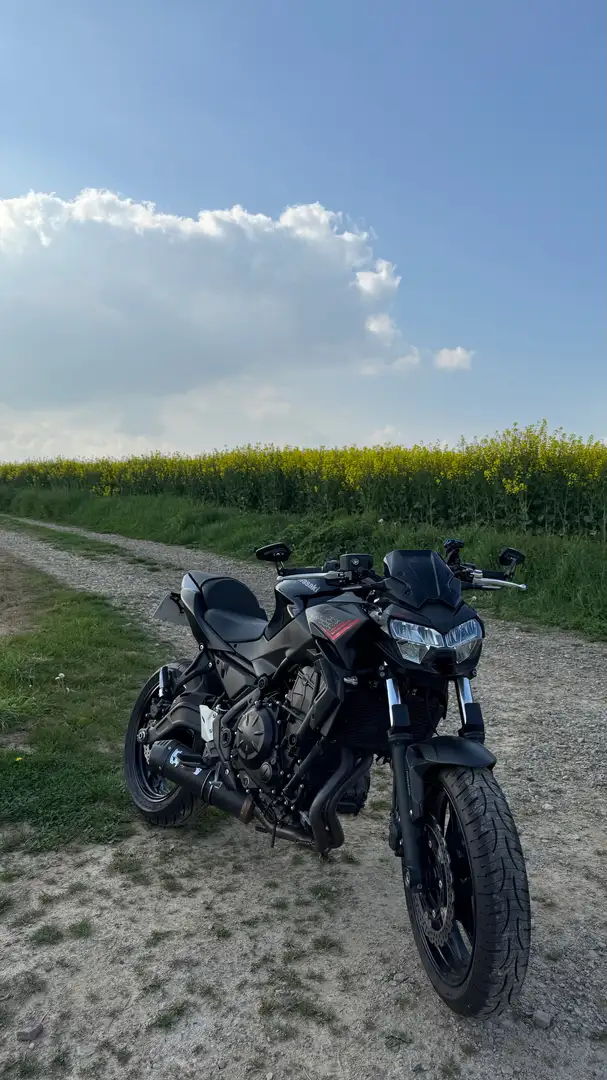 Kawasaki Z 650 Noir - 2