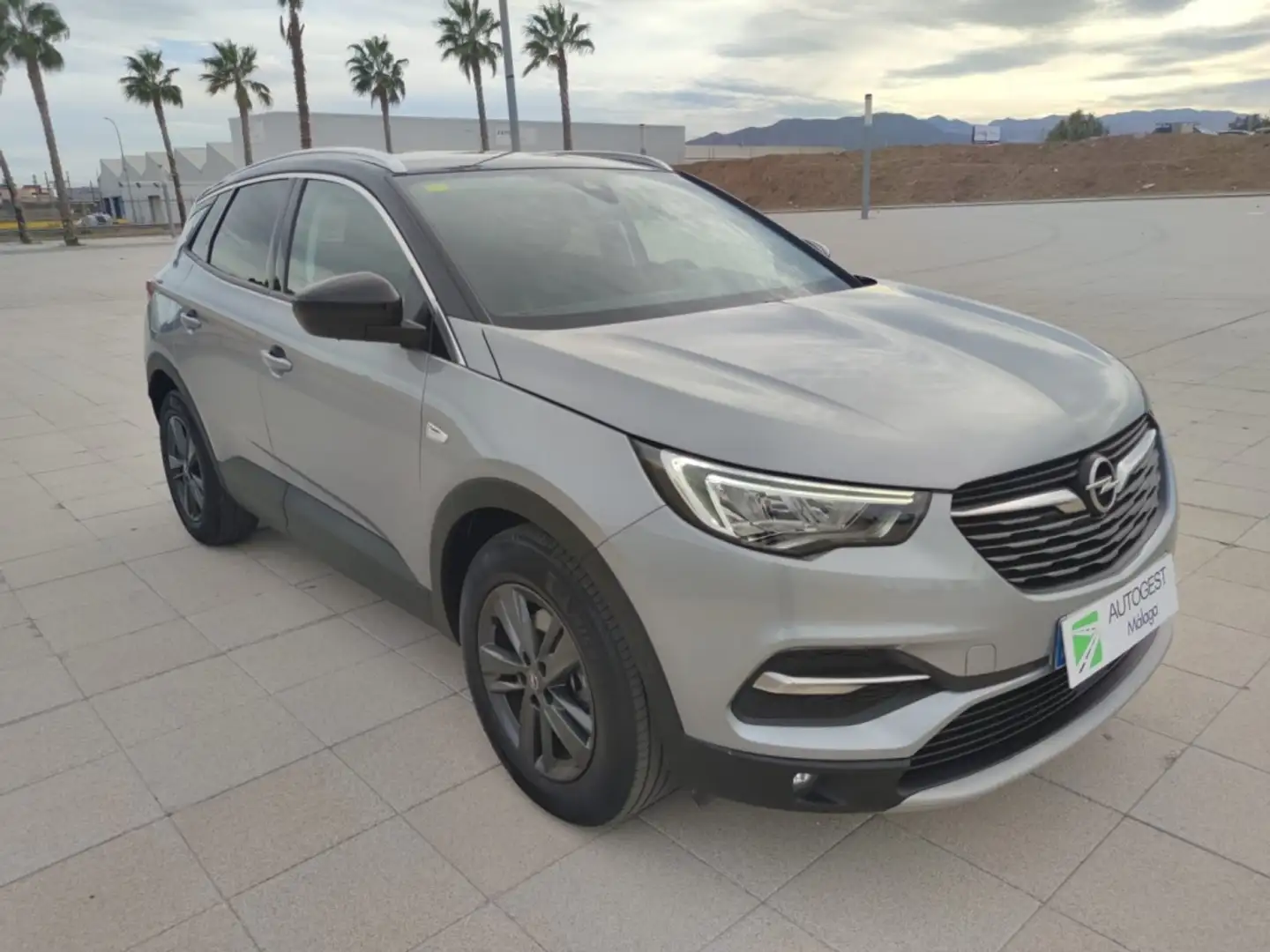Opel Grandland X 1.2T S&S Edition 130 Gris - 1