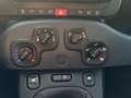 Fiat Panda Pandina 1.0 FireFly Hybrid 70cv S&S 1.0 FireFly H Weiß - thumbnail 7