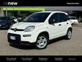 Fiat Panda Pandina 1.0 FireFly Hybrid 70cv S&S 1.0 FireFly H Blanc - thumbnail 1