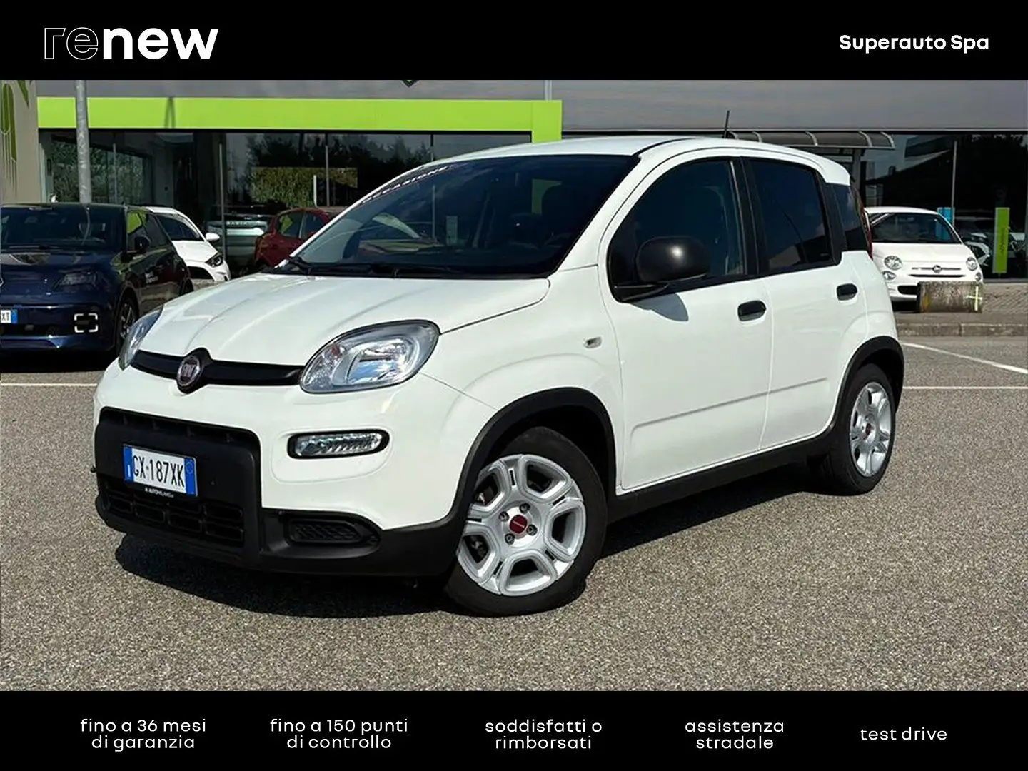 Fiat Panda Pandina 1.0 FireFly Hybrid 70cv S&S 1.0 FireFly H Bianco - 1