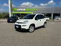 Fiat Panda Pandina 1.0 FireFly Hybrid 70cv S&S 1.0 FireFly H Weiß - thumbnail 3