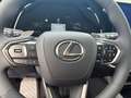 Lexus RX 450h + (Plug-in-Hybrid) Business Line *ACC*CAM* Argento - thumbnail 10