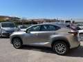 Lexus NX 300 h 2.5 Executive 4wd cvt SERVICE LEXUS PANORAMA IVA Grigio - thumbnail 8