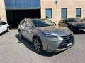 Lexus NX 300 h 2.5 Executive 4wd cvt SERVICE LEXUS PANORAMA IVA Grigio - thumbnail 3