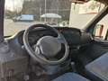 Iveco Daily IVECO DAILY CASSONE FISSSO Білий - thumbnail 6