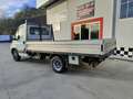Iveco Daily IVECO DAILY CASSONE FISSSO Білий - thumbnail 4