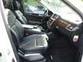 Mercedes-Benz GL 350 350 BLUETEC 4MATIC 7G-TRONIC + Blanco - thumbnail 16