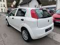 Fiat Punto 1.2 8V Klima Weiß - thumbnail 6