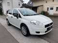 Fiat Punto 1.2 8V Klima Weiß - thumbnail 3