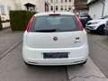 Fiat Punto 1.2 8V Klima Weiß - thumbnail 5