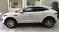Jaguar E-Pace 2.0d i4 S awd 180cv auto Bianco - thumbnail 5