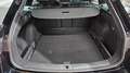SEAT Leon ST 1.5 EcoTSI S&S FR Fast Edition Plus DSG7 150 Negro - thumbnail 14