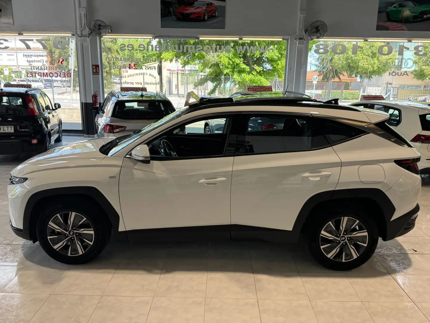 Hyundai TUCSON 1.6TGDI 48V 150CV MAXX SKY TECHO .- " HIBRIDO-GASO Blanco - 2