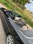 BMW 335 335i Cabrio Aut. Schwarz - thumbnail 14