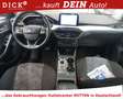Ford Focus T C&C 1.5EB Aut. LED/NAVI/RFK/PDC+/SHZ/CAR Weiß - thumbnail 6