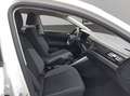 Volkswagen Polo 1.0 TSI Life 70kW Blanco - thumbnail 17