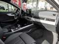 Audi A4 Avant 40 TFSI S line AHK ACC MATRIX-LED Biały - thumbnail 2