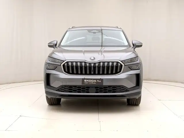 Skoda Kodiaq view 2