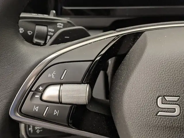 Skoda Kodiaq view 12