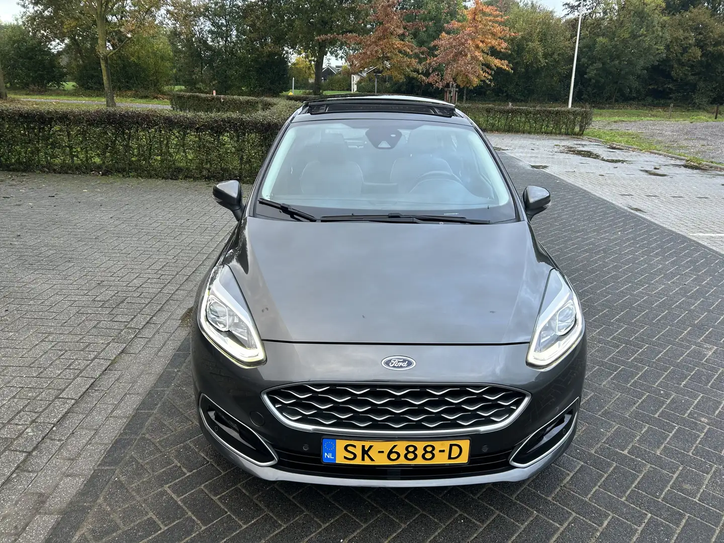 Ford Fiesta 1.0 EcoBoost Vignale Pano Voll Grijs - 2