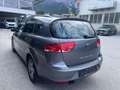 SEAT Altea Chili-Tech Stadtcowboy 4x4 Gris - thumbnail 7