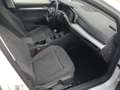 Volkswagen Golf Life 2.0TDI LED Navi SHZ ACC App Weiß - thumbnail 12
