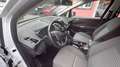 Ford Grand C-Max Grand C-MAX Titanium 7Sitzer Blanc - thumbnail 9