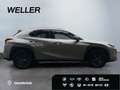 Lexus UX 250h Amazing Edition *Bi-LED*ACC*CAM*CarPlay* Silber - thumbnail 10