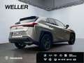 Lexus UX 250h Amazing Edition *Bi-LED*ACC*CAM*CarPlay* Silber - thumbnail 19
