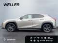 Lexus UX 250h Amazing Edition *Bi-LED*ACC*CAM*CarPlay* Silber - thumbnail 5