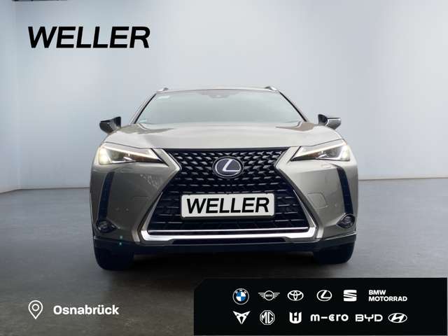 Lexus UX 250h Amazing Edition *Bi-LED*ACC*CAM*CarPlay*