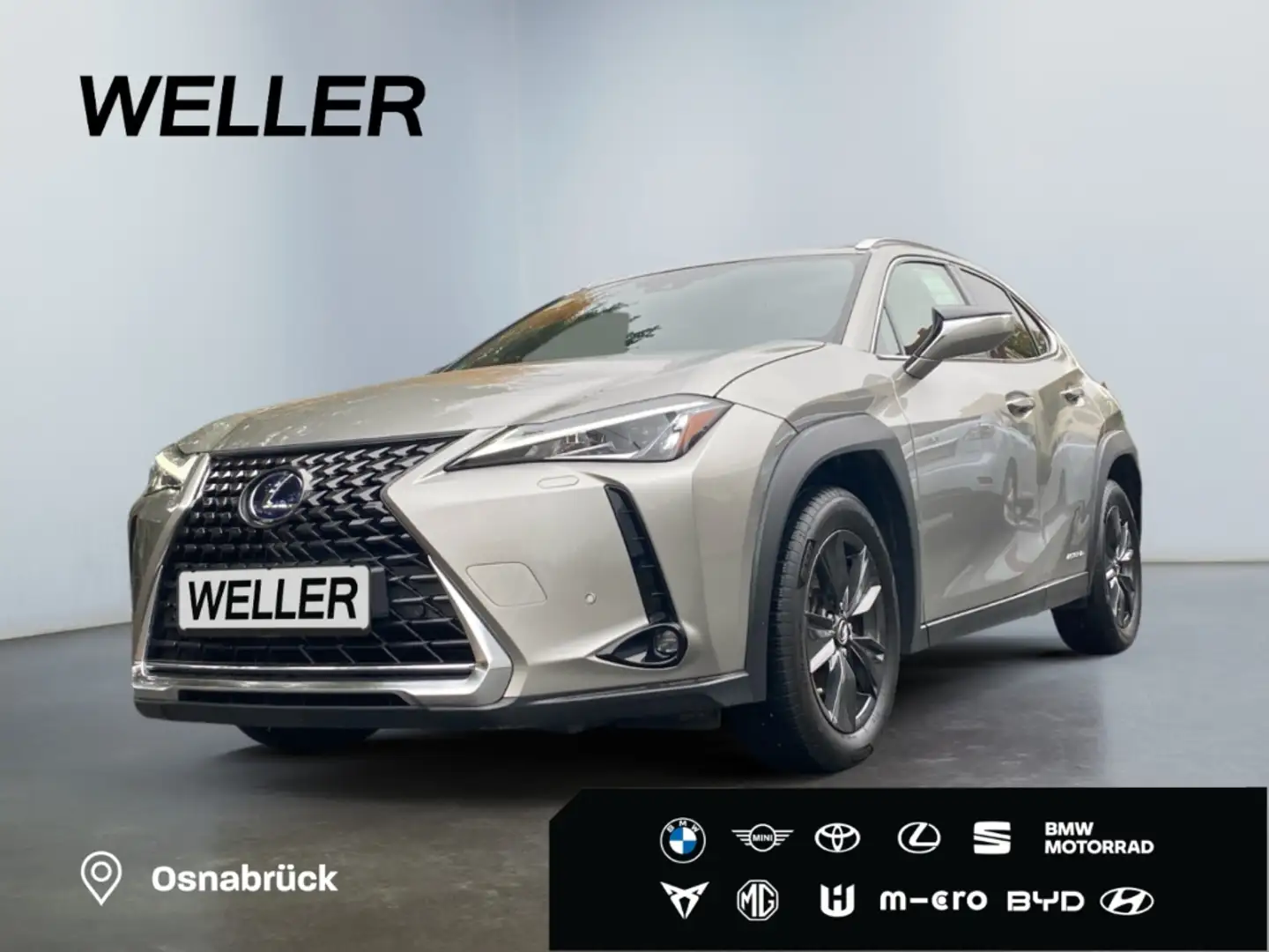 Lexus UX 250h Amazing Edition *Bi-LED*ACC*CAM*CarPlay* Silber - 1