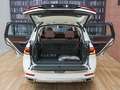 BMW X7 xDrive40d Bianco - thumbnail 10