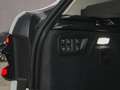 BMW X7 xDrive40d Alb - thumbnail 12