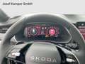 Skoda Octavia Sportline TDI DSG Schwarz - thumbnail 10