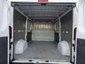Fiat Ducato Ducato Maxi 35 L2H1 150 Weiß - thumbnail 13