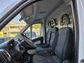 Fiat Ducato Ducato Maxi 35 L2H1 150 Weiß - thumbnail 10