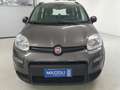 Fiat Panda 1.0 firefly hybrid City Life S&S Grigio - thumbnail 2
